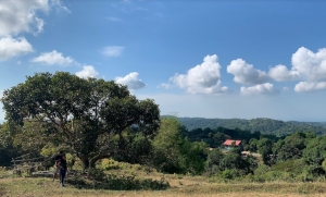 Flat and Rolling Terrain Lot Along the Highway, Baraoas, San Fernando City, La Union